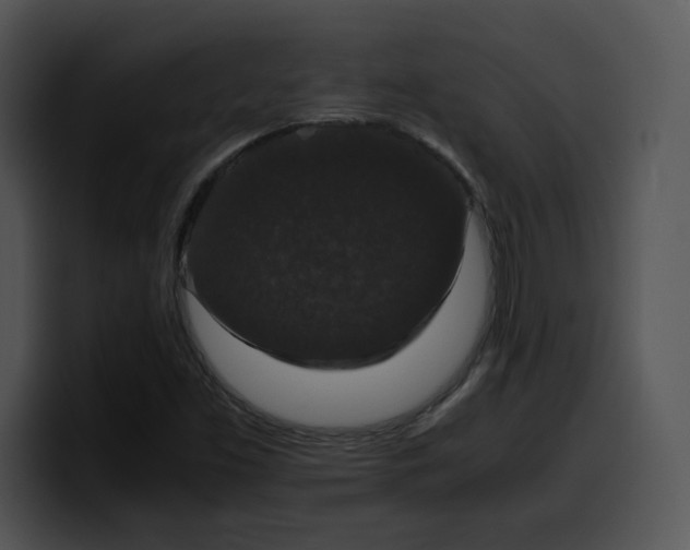 X0000099991453200806061534