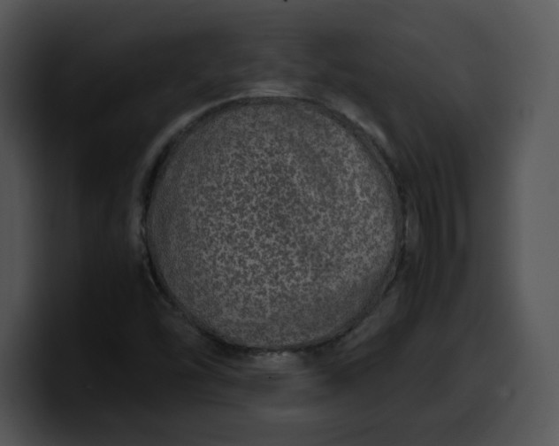 X0000099991454200806061534