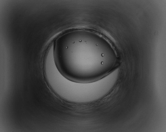 X0000099991456200806061534