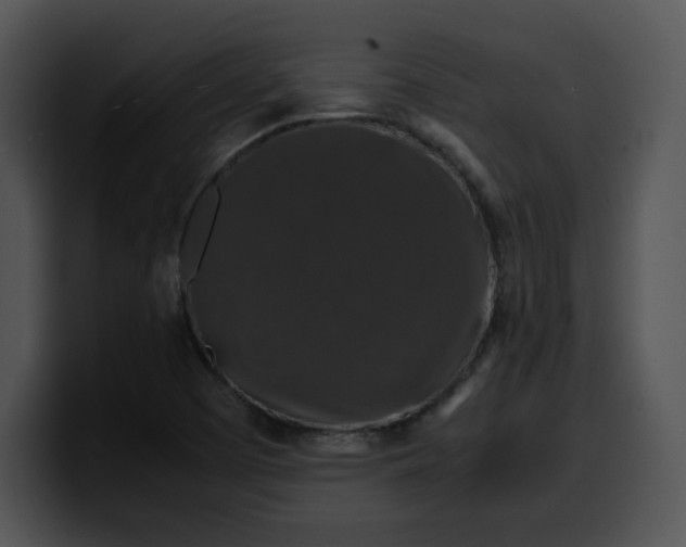 X0000099991457200806061534