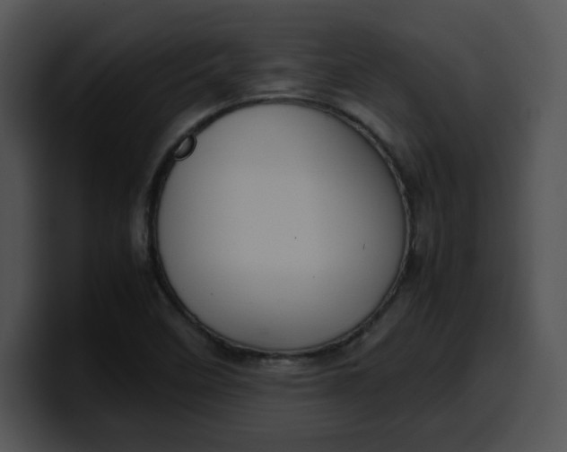 X0000099991458200806061534