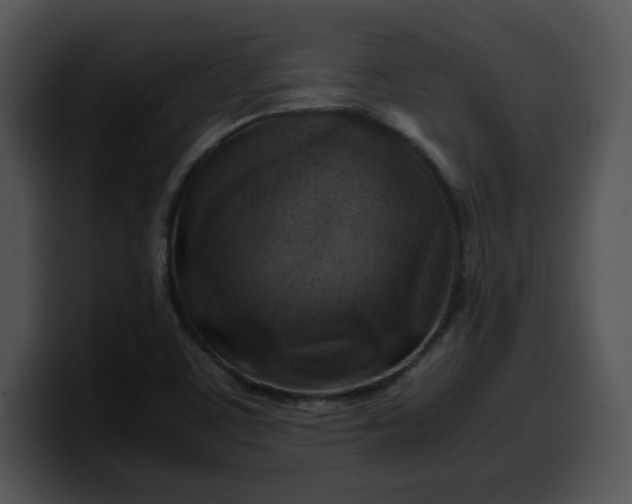 X0000099991459200806061534
