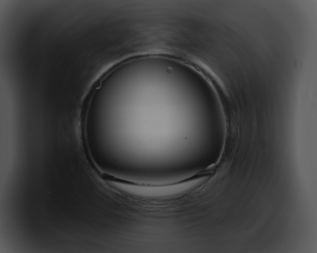 X0000099991460200806061534