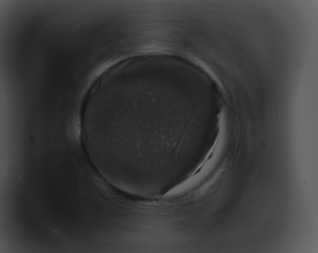 X0000099991461200806061534
