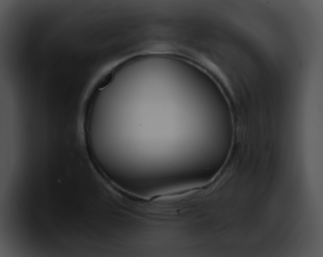 X0000099991464200806061534