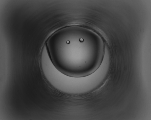 X0000099991465200806061534