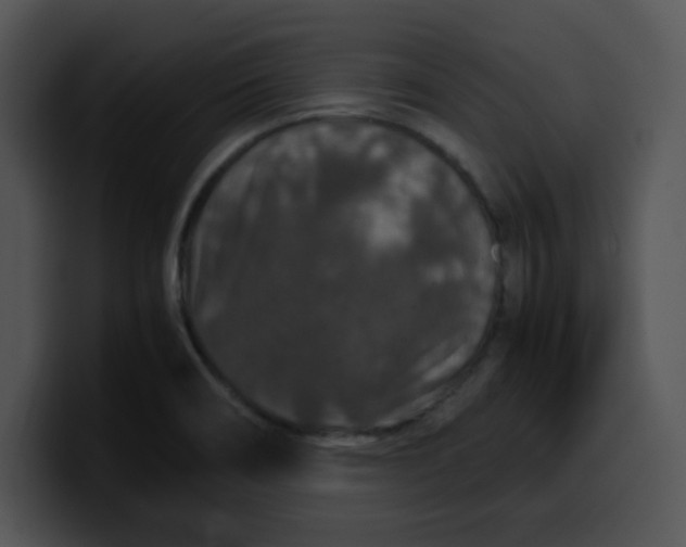 X0000099991466200806061534
