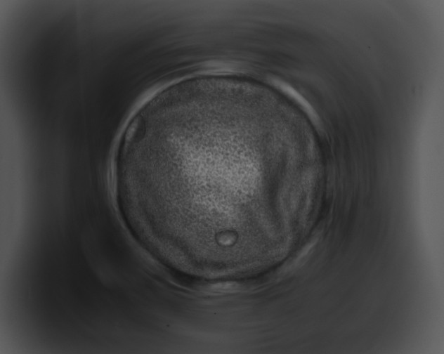 X0000099991467200806061534