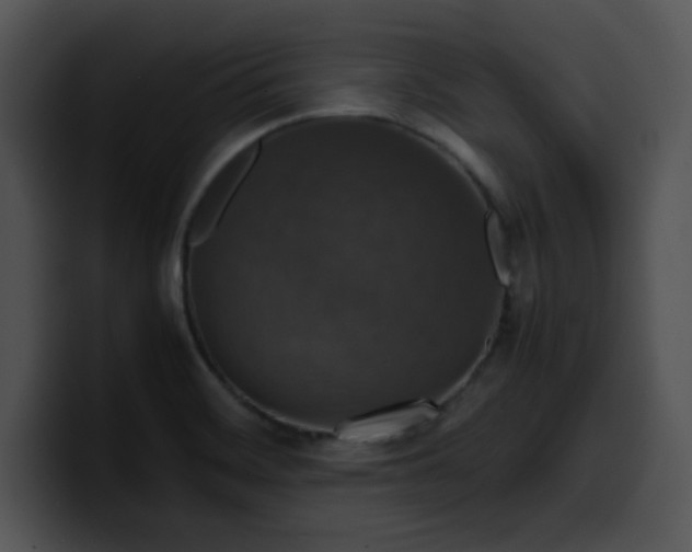 X0000099991468200806061534