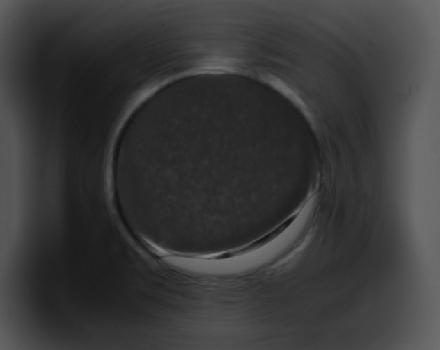 X0000099991469200806061534