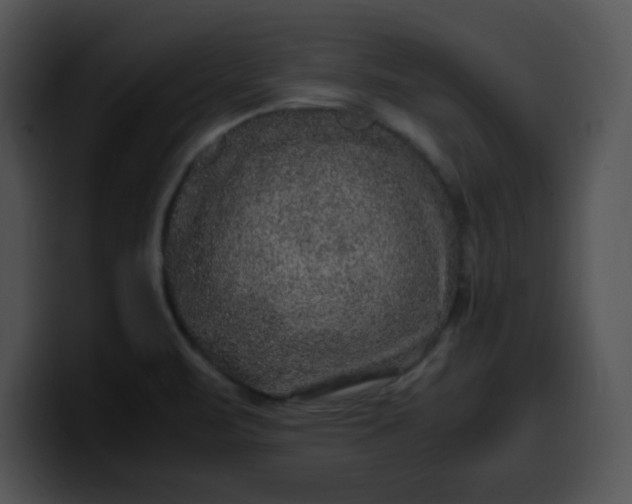 X0000099991471200806061534