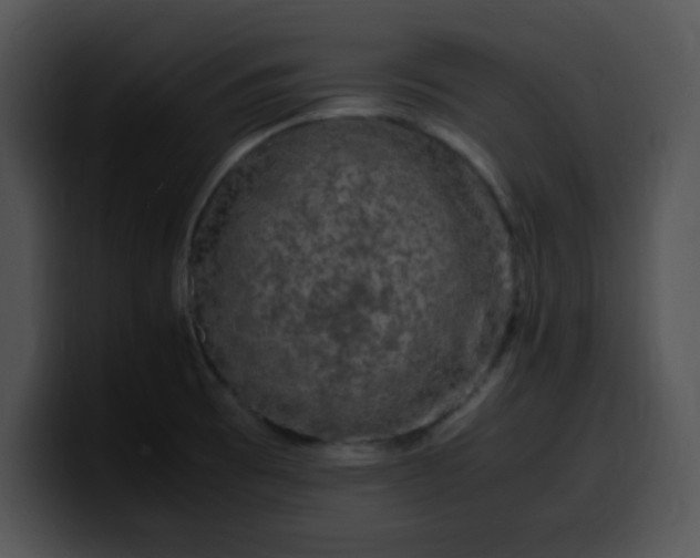 X0000099991473200806061534