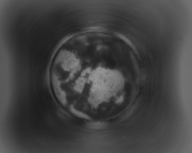 X0000099991474200806061534