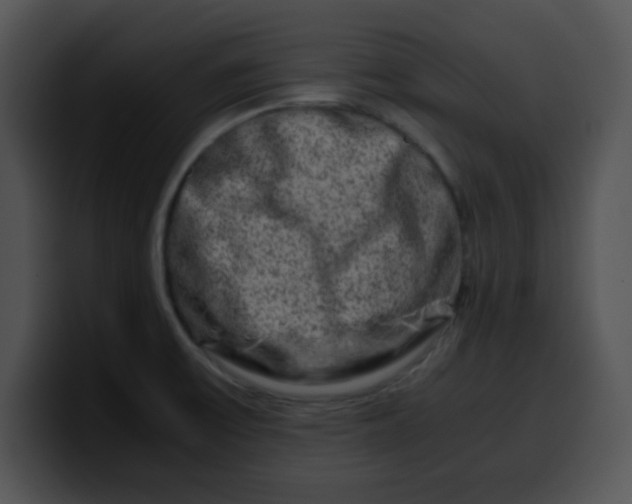 X0000099991475200806061534