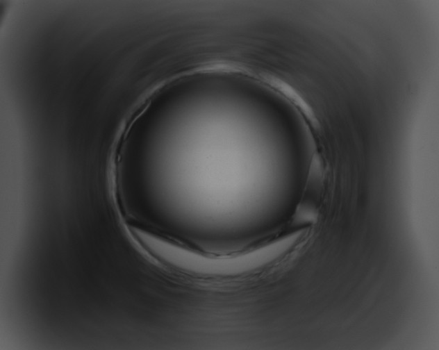 X0000099991476200806061534