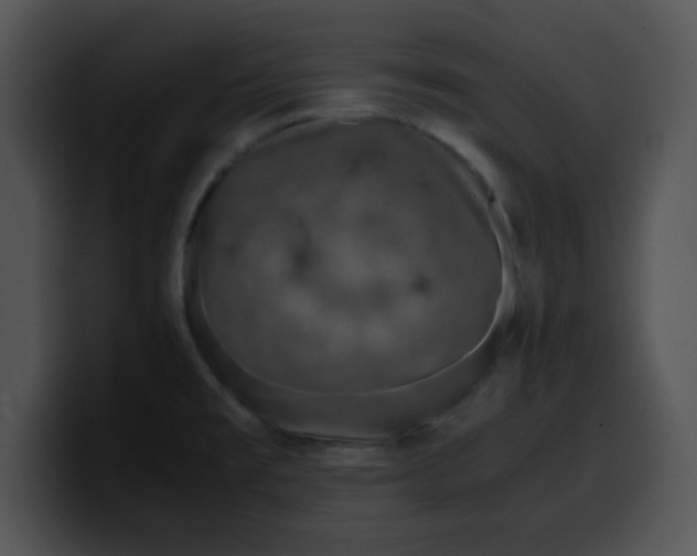 X0000099991477200806061534