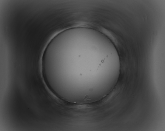 X0000099991479200806061534