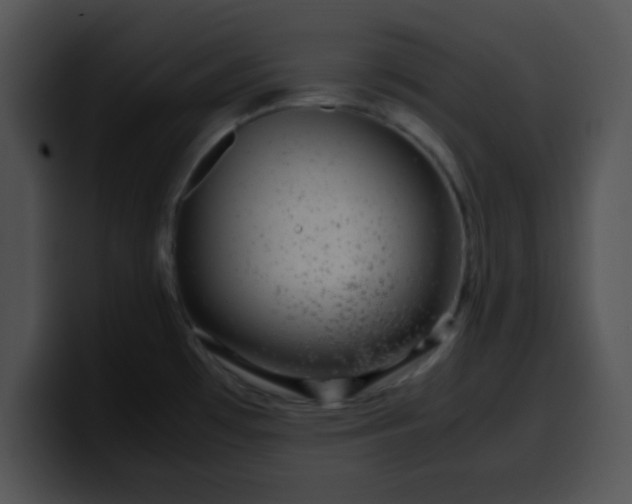 X0000099991481200806061534
