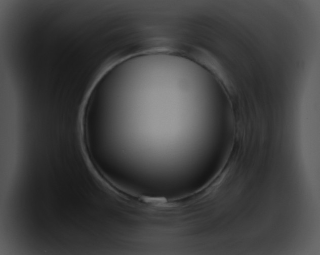X0000099991483200806061534