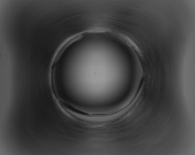X0000099991484200806061534