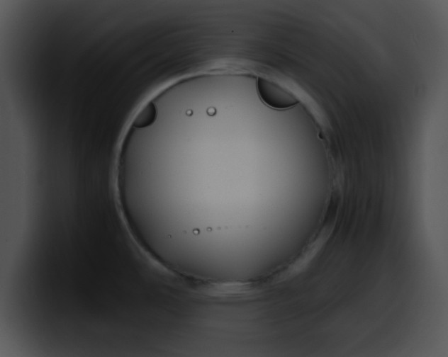 X0000099991486200806061534
