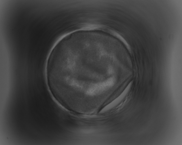 X0000099991487200806061534
