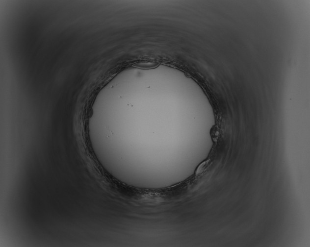 X0000099991489200806061533