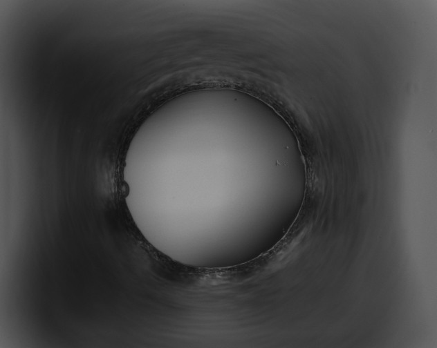 X0000099991490200806061533