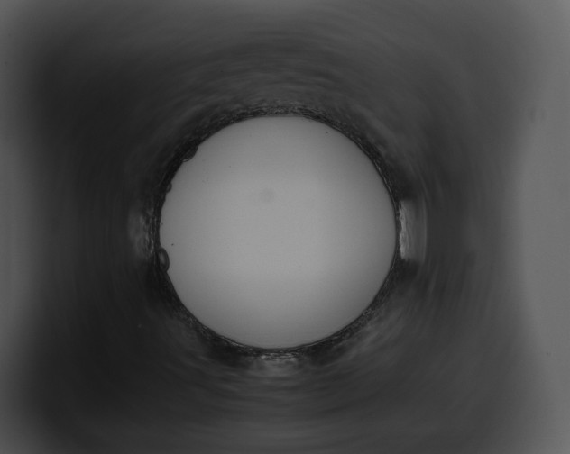 X0000099991491200806061533
