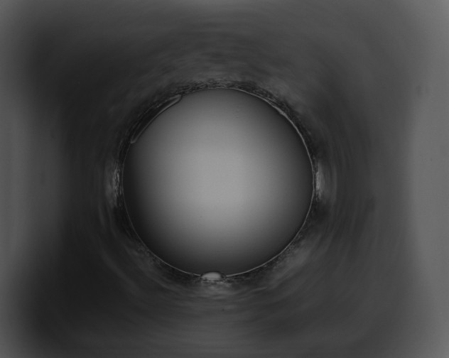 X0000099991492200806061533