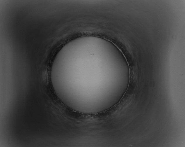 X0000099991493200806061533