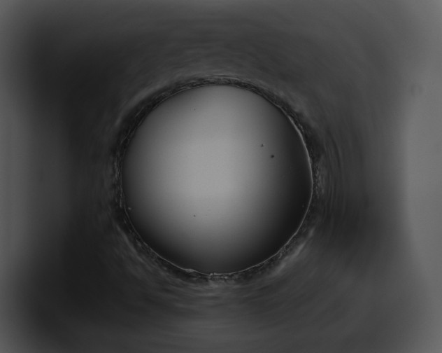 X0000099991494200806061533