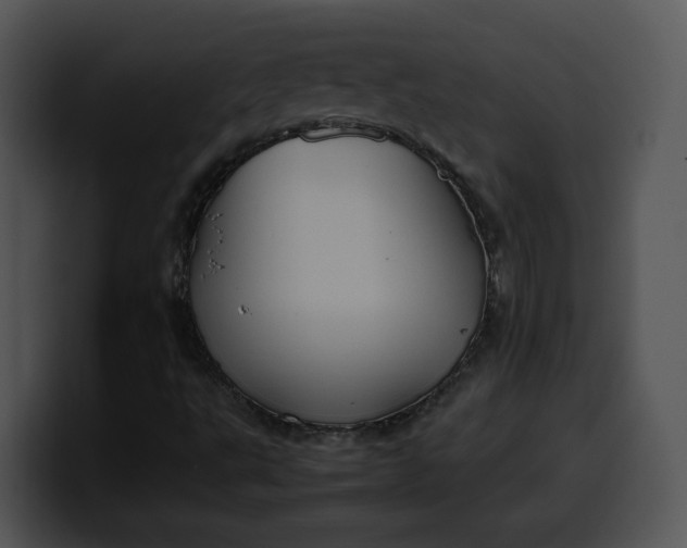 X0000099991495200806061533