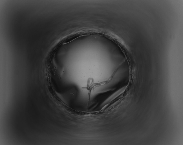 X0000099991496200806061533