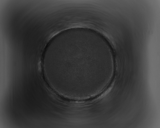 X0000099991497200806061533