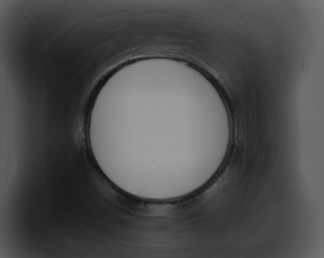 X0000099991498200806061533
