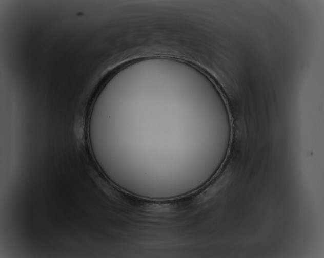 X0000099991499200806061533