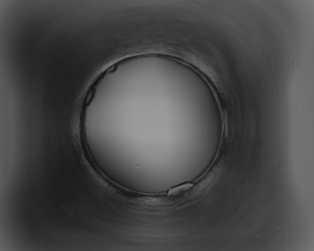 X0000099991500200806061533