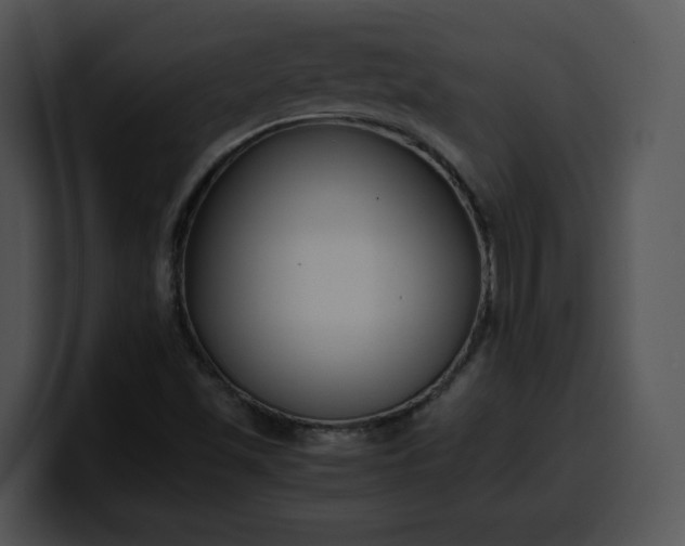 X0000099991501200806061533