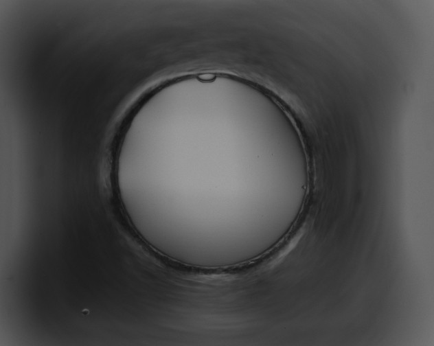 X0000099991502200806061533