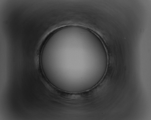 X0000099991503200806061533