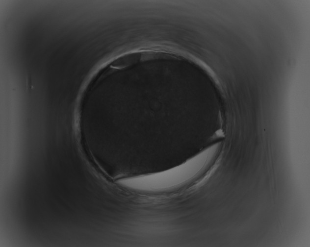 X0000099991506200806061533