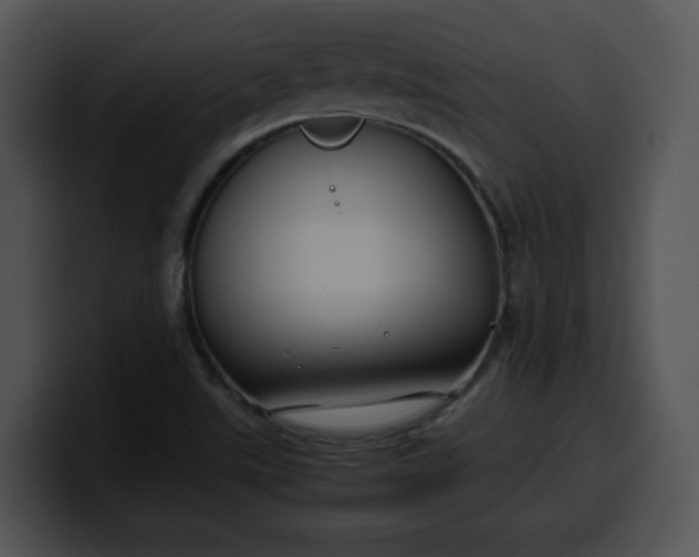 X0000099991507200806061533