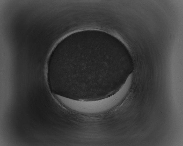 X0000099991508200806061533