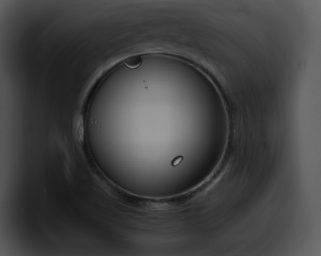 X0000099991509200806061533