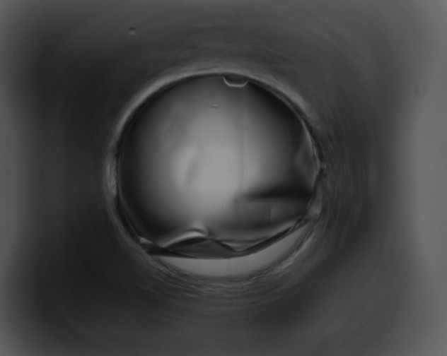 X0000099991510200806061533