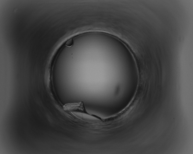 X0000099991511200806061533