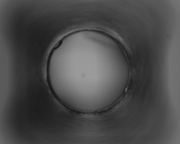 X0000099991512200806061533