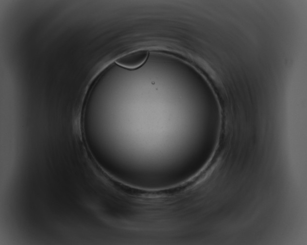 X0000099991513200806061533