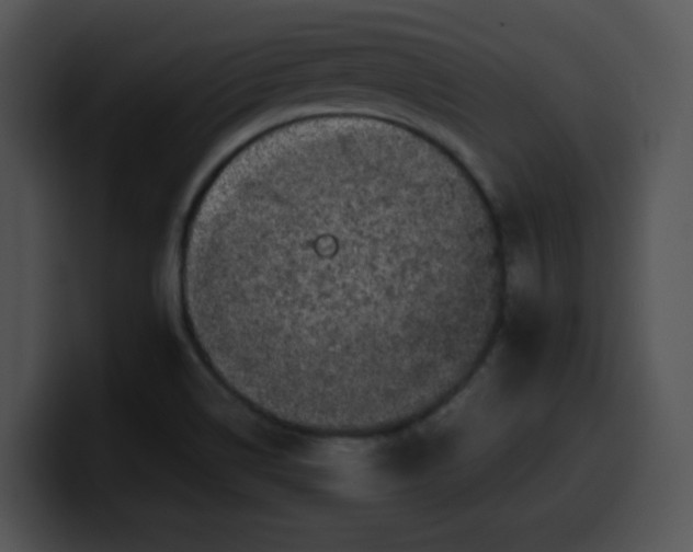 X0000099991514200806061533